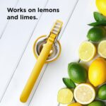 3-in-1 Palm Citrus Zester - Grater, Zester & Garnishing Tool by Chef'n - Image 4
